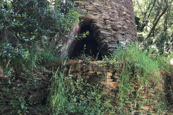 Foto 83 da atividade Galeria de Fotos