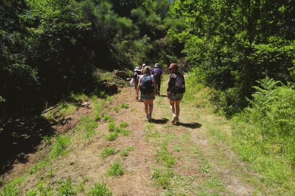 Foto 38 da atividade Galeria de Fotos