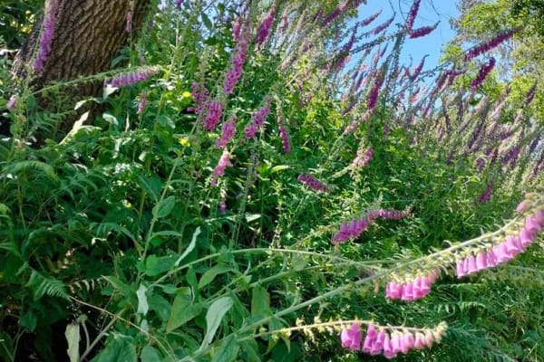 Foto 26 da atividade Galeria de Fotos