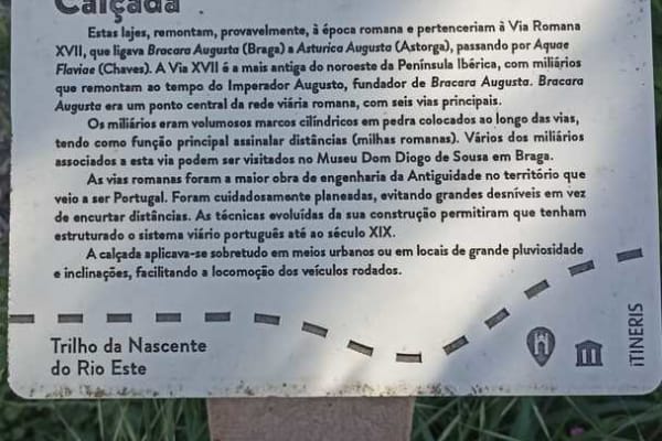 Foto 81 da atividade Galeria de Fotos