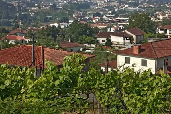 Foto 66 da atividade Galeria de Fotos