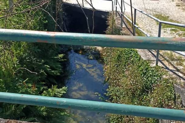 Foto 64 da atividade Galeria de Fotos