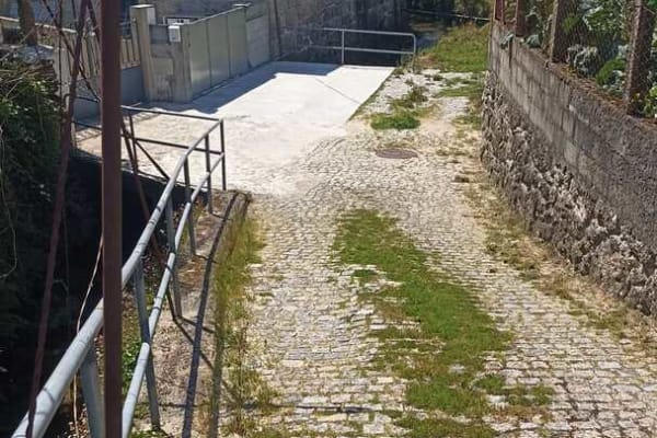 Foto 65 da atividade Galeria de Fotos