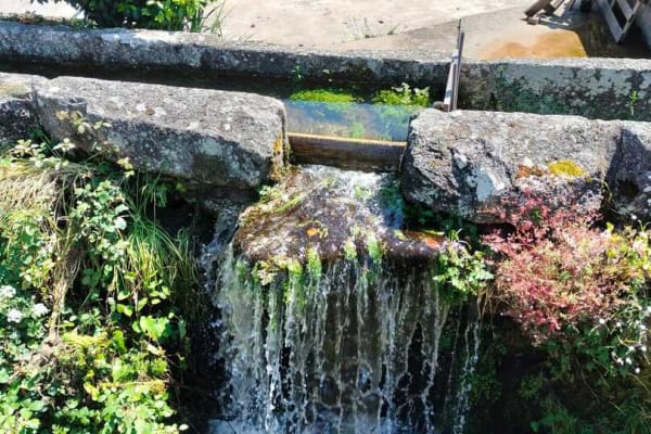 Foto 53 da atividade Galeria de Fotos