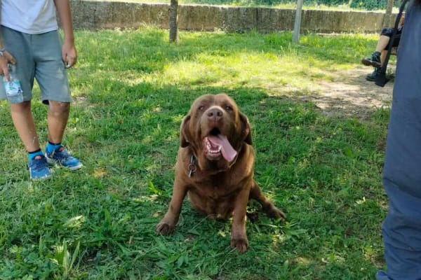 Foto 54 da atividade Galeria de Fotos