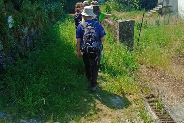 Foto 52 da atividade Galeria de Fotos