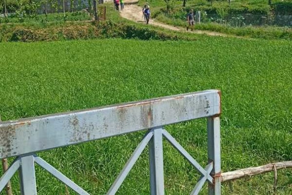 Foto 44 da atividade Galeria de Fotos