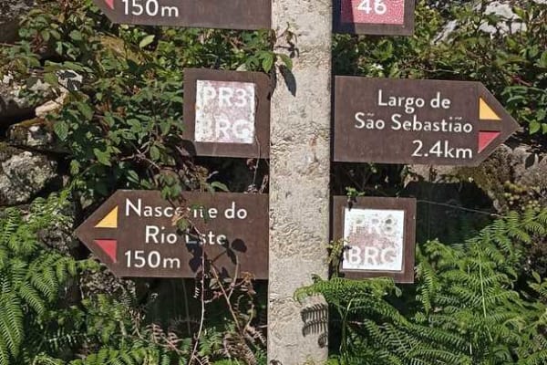 Foto 19 da atividade Galeria de Fotos