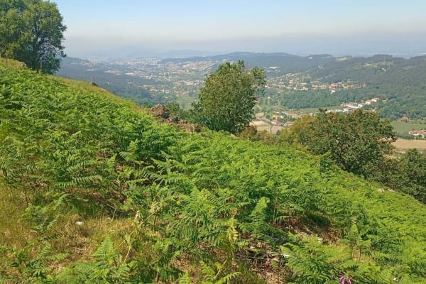 Foto 17 da atividade Galeria de Fotos