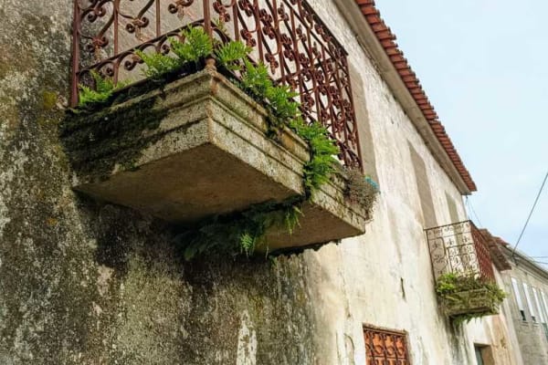 Foto 85 da atividade Galeria de Fotos