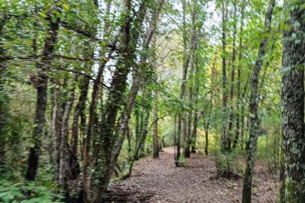 Foto 86 da atividade Galeria de Fotos