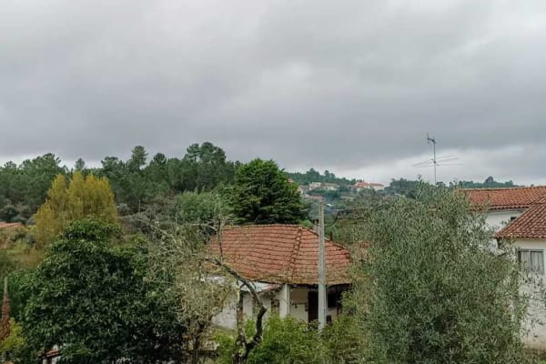 Foto 81 da atividade Galeria de Fotos