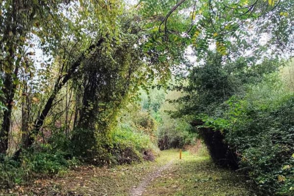 Foto 79 da atividade Galeria de Fotos