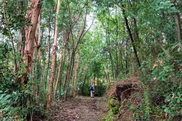 Foto 74 da atividade Galeria de Fotos