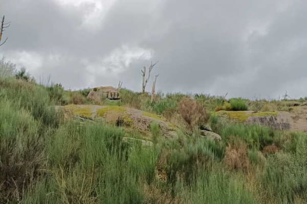 Foto 68 da atividade Galeria de Fotos