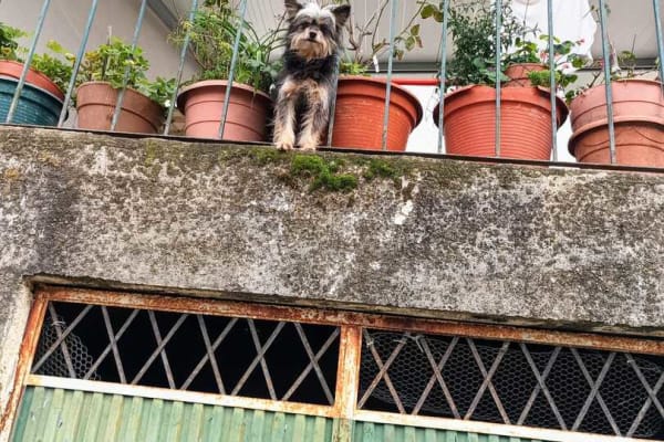 Foto 63 da atividade Galeria de Fotos