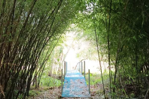 Foto 56 da atividade Galeria de Fotos