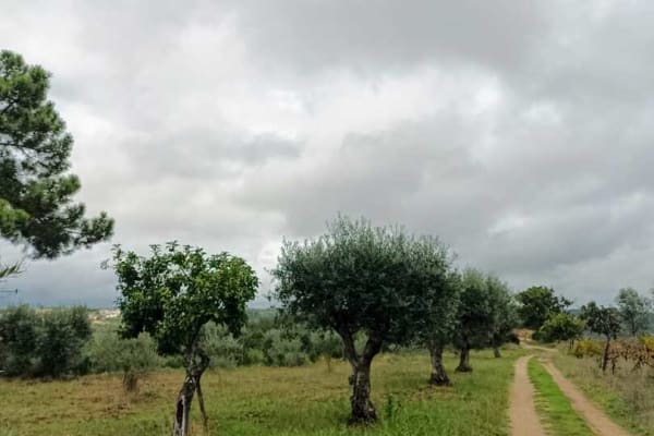 Foto 48 da atividade Galeria de Fotos