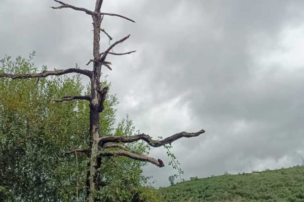 Foto 41 da atividade Galeria de Fotos