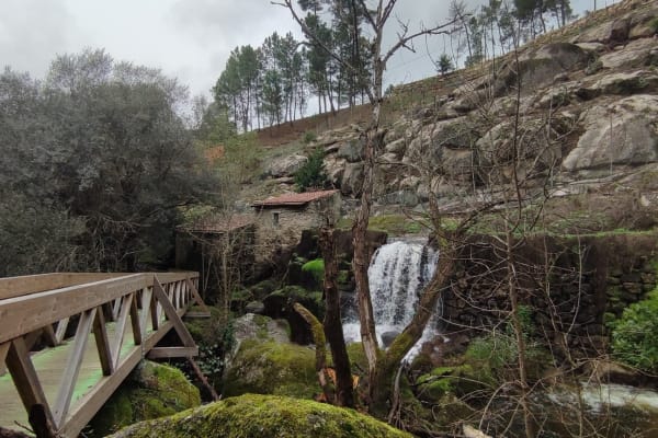 Foto 5 da atividade Galeria de Fotos