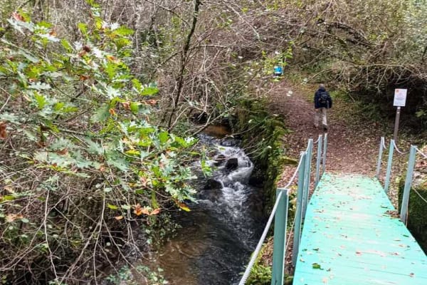 Foto 6 da atividade Galeria de Fotos