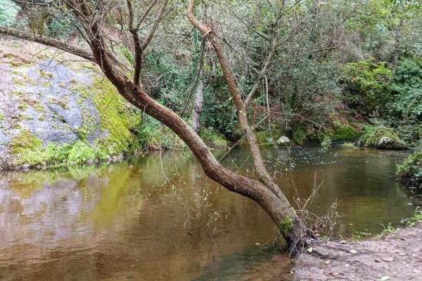 Foto 3 da atividade Galeria de Fotos