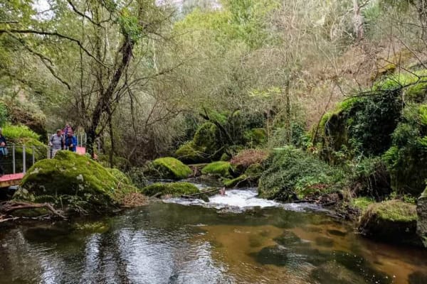 Foto 2 da atividade Galeria de Fotos