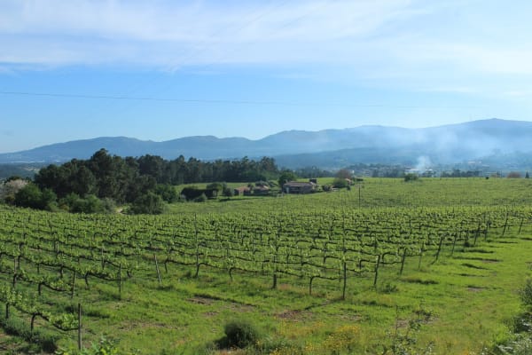 Foto 94 da atividade Galeria de Fotos