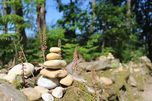 Foto 91 da atividade Galeria de Fotos