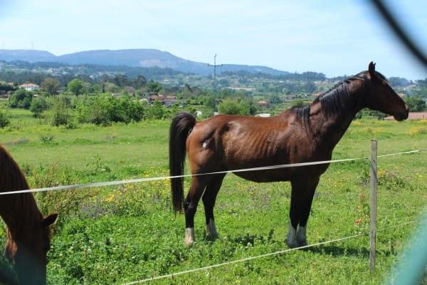 Foto 90 da atividade Galeria de Fotos