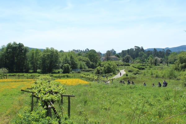 Foto 80 da atividade Galeria de Fotos