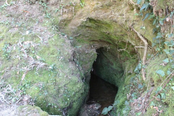 Foto 36 da atividade Galeria de Fotos