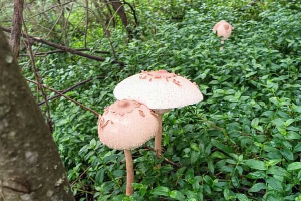 Foto 51 da atividade Galeria de Fotos