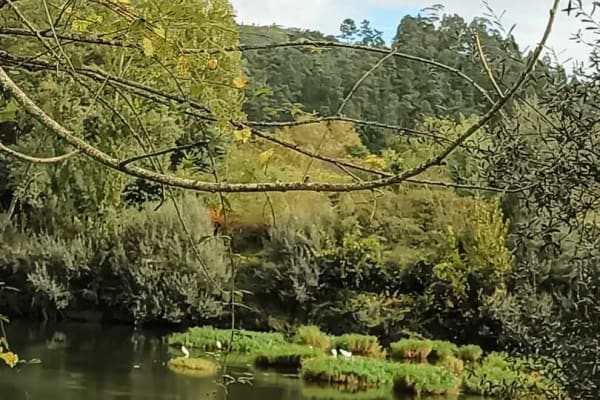 Foto 45 da atividade Galeria de Fotos