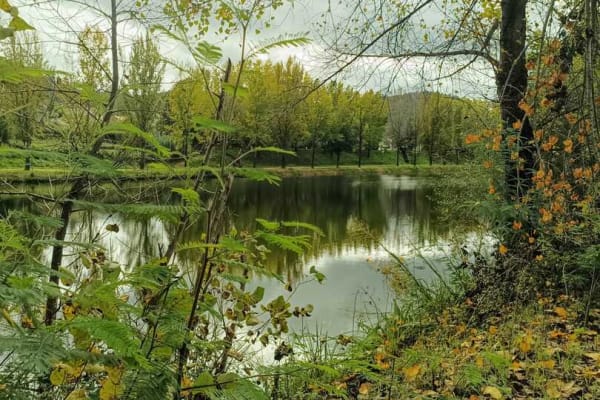 Foto 40 da atividade Galeria de Fotos