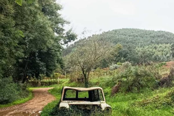 Foto 36 da atividade Galeria de Fotos