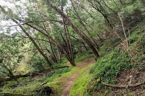 Foto 25 da atividade Galeria de Fotos