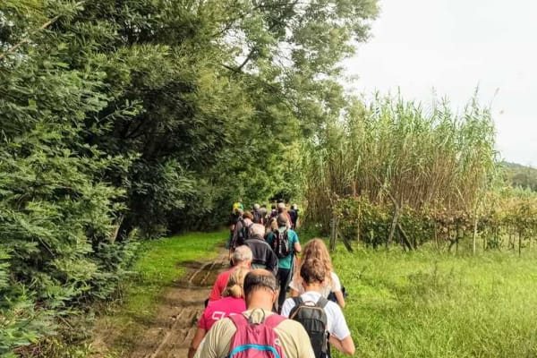 Foto 15 da atividade Galeria de Fotos