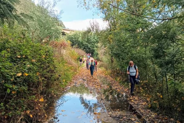 Foto 8 da atividade Galeria de Fotos