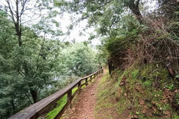 Foto 9 da atividade Galeria de Fotos