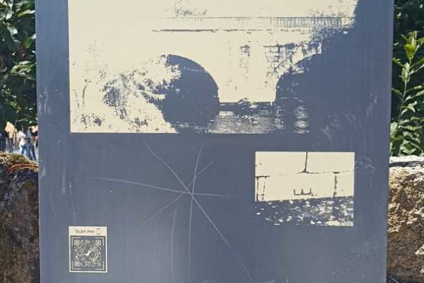 Foto 73 da atividade Galeria de Fotos