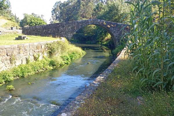 Foto 61 da atividade Galeria de Fotos