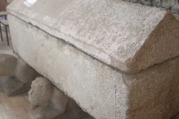 Foto 45 da atividade Galeria de Fotos