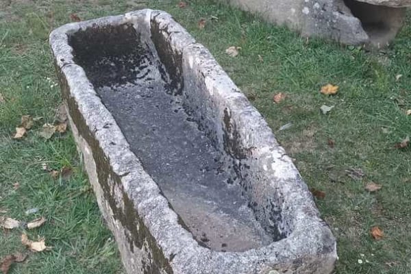 Foto 42 da atividade Galeria de Fotos