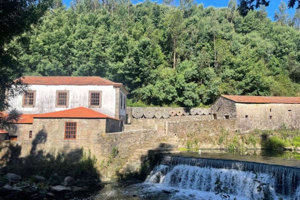 Foto 11 da atividade Galeria de Fotos