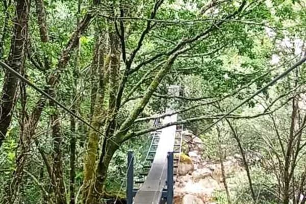 Foto 79 da atividade Galeria de Fotos