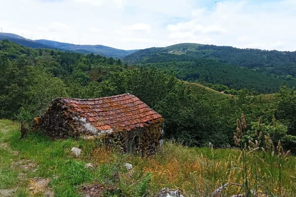 Foto 72 da atividade Galeria de Fotos