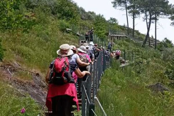 Foto 54 da atividade Galeria de Fotos