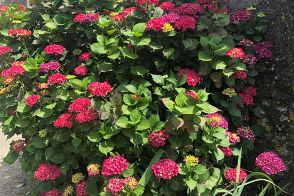 Foto 46 da atividade Galeria de Fotos