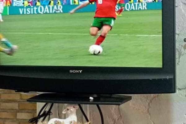 Foto 35 da atividade Galeria de Fotos